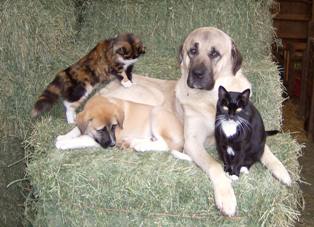 group